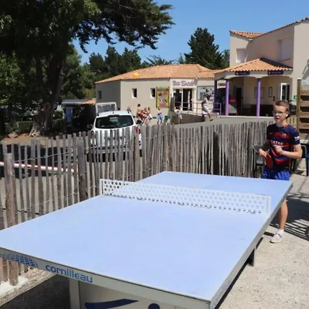 Mobil-home Spacieuse Avec Terrasse A - Api-1-52-422